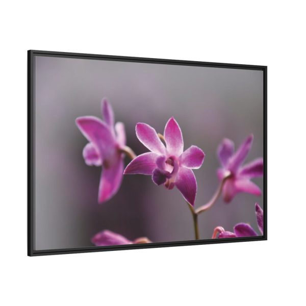 Macro Flower Plant Framed Canvas