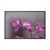 Macro Flower Plant Framed Canvas