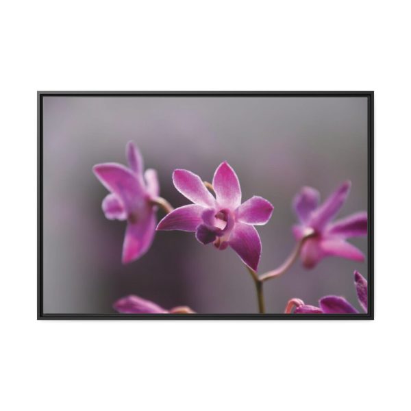 Macro Flower Plant Framed Canvas