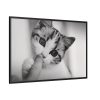 88289-215.jpg Kitten and Finger Framed Canvas