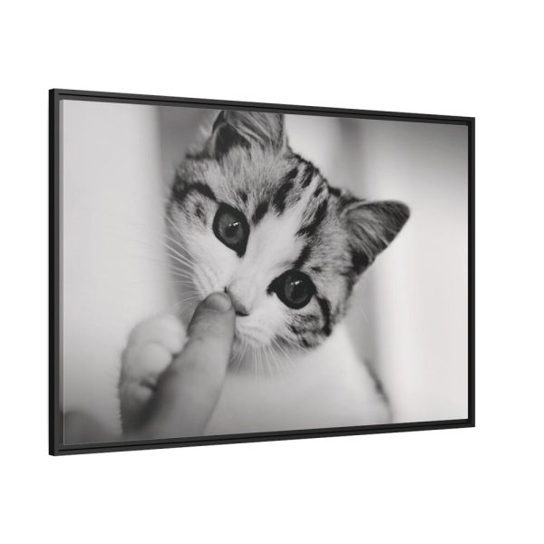 88289-215.jpg Kitten and Finger Framed Canvas