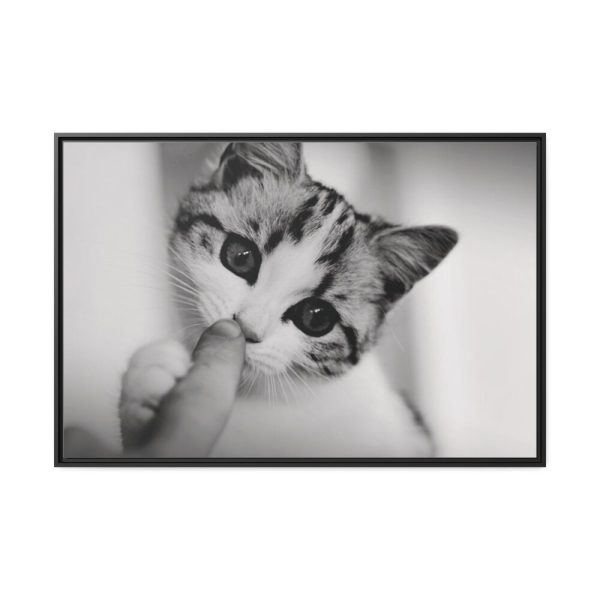 88289-216.jpg Kitten and Finger Framed Canvas