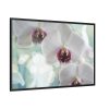 Flowering Plant Framed Canvas