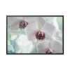 Flowering Plant Framed Canvas