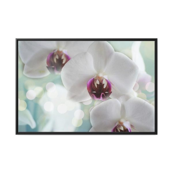 Flowering Plant Framed Canvas