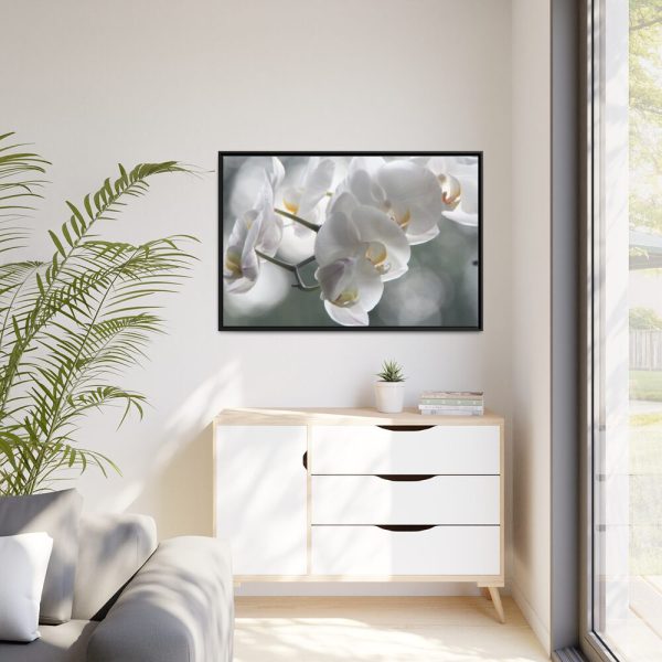 Orchids Elegant  Framed Canvas