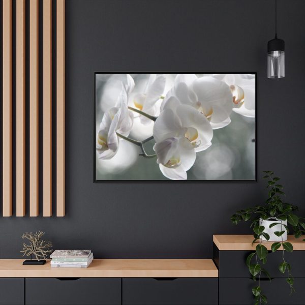 Orchids Elegant  Framed Canvas