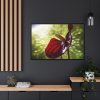 Red Lily Framed Canvas