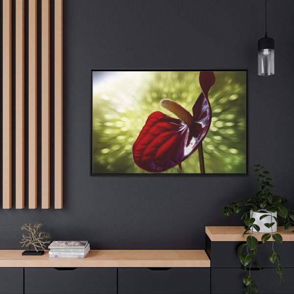 Red Lily Framed Canvas