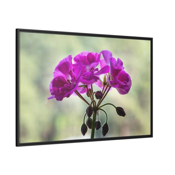 Colorful Flower Framed Canvas