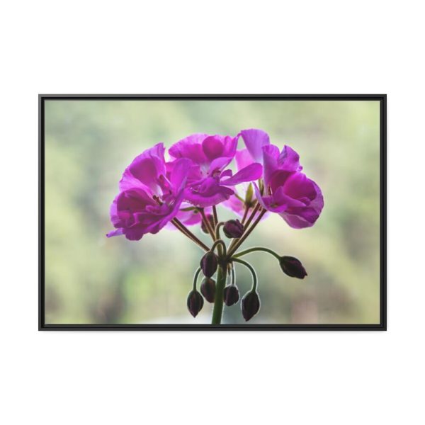 Colorful Flower Framed Canvas