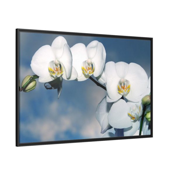 White Flower Framed Canvas
