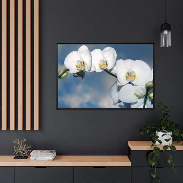 White Flower Framed Canvas
