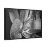 Black and White  Framed Canvas