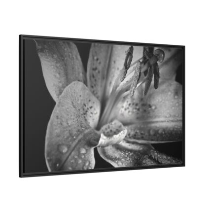 Black and White  Framed Canvas
