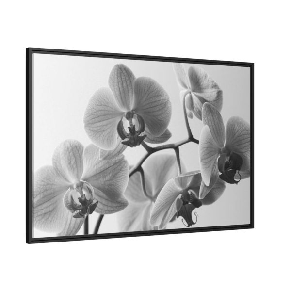 88289-250.jpg Orchid Meadow Framed Canvas