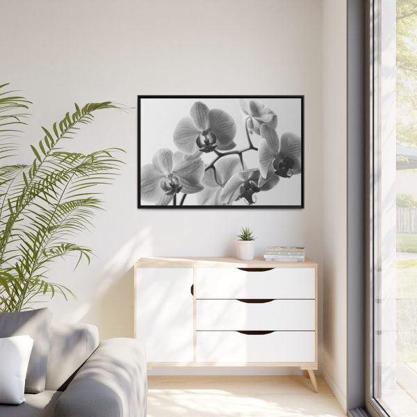 88289-253.jpg Orchid Meadow Framed Canvas