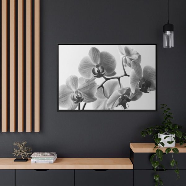 88289-254.jpg Orchid Meadow Framed Canvas
