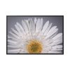 88289-256.jpg White Daisy Framed Canvas