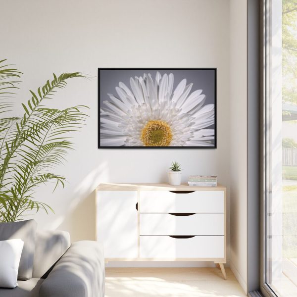 88289-258.jpg White Daisy Framed Canvas