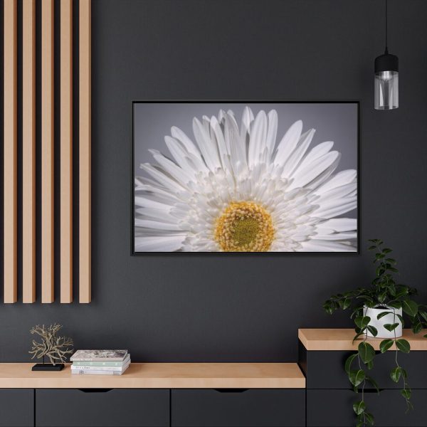 88289-259.jpg White Daisy Framed Canvas