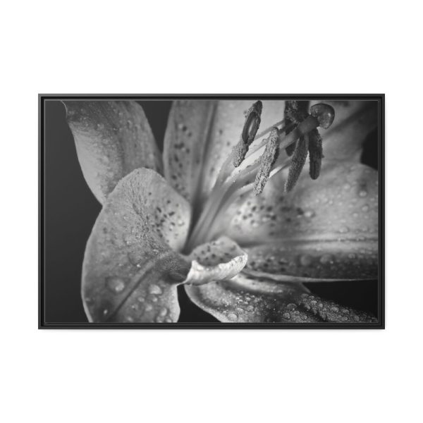 Black and White  Framed Canvas