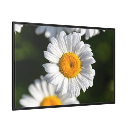 White Daisy Flower Framed Canvas