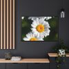 88289-264.jpg White Daisy Flower Framed Canvas