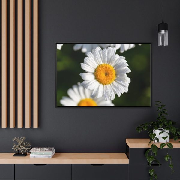 88289-264.jpg White Daisy Flower Framed Canvas