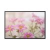 88289-266.jpg Blooming Pink Daisies Framed Canvas