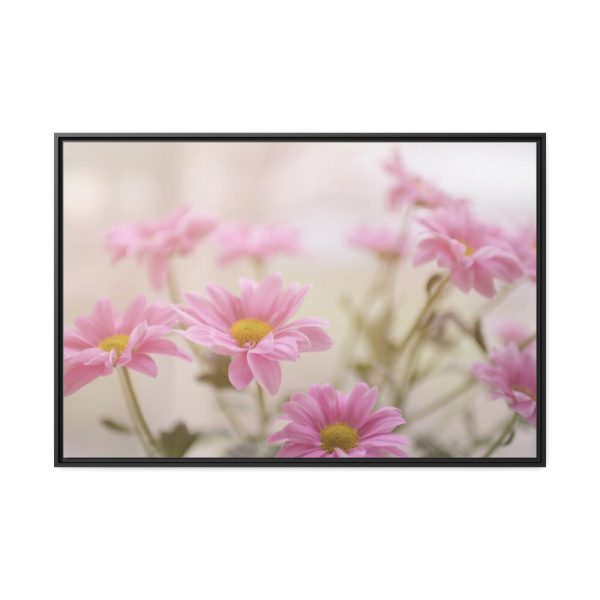 88289-266.jpg Blooming Pink Daisies Framed Canvas