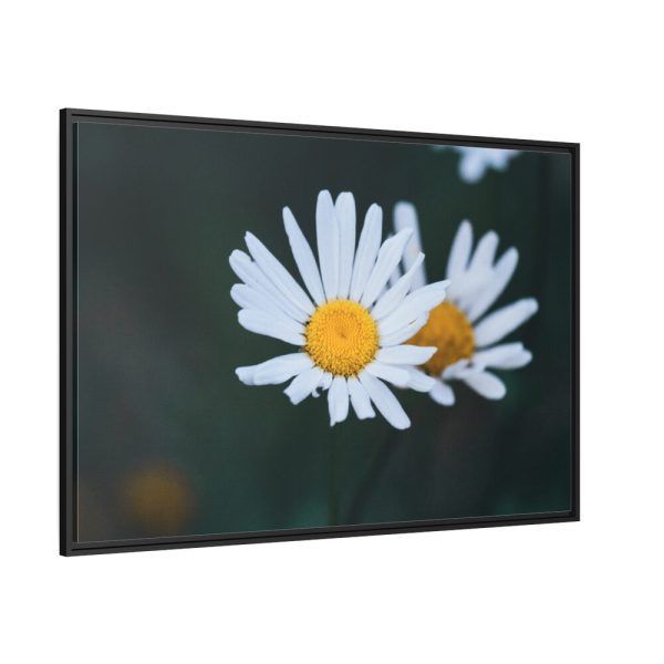 88289-270.jpg Wild Daisy Framed Canvas