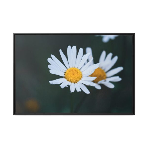 88289-271.jpg Wild Daisy Framed Canvas
