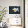 88289-273.jpg Wild Daisy Framed Canvas