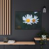 88289-274.jpg Wild Daisy Framed Canvas