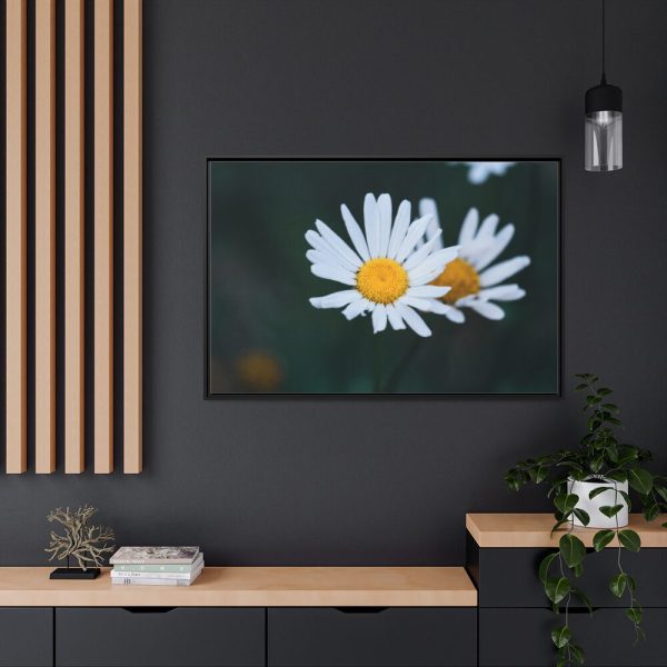 88289-274.jpg Wild Daisy Framed Canvas