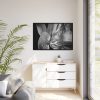 Black and White  Framed Canvas
