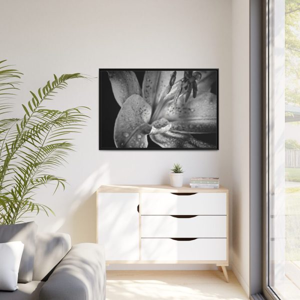 Black and White  Framed Canvas