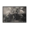 88289-281.jpg Big Elephant with Two Lion Framed Canvas