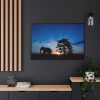 88289-289.jpg Elephant and Sunset Framed Canvas