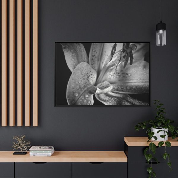 Black and White  Framed Canvas