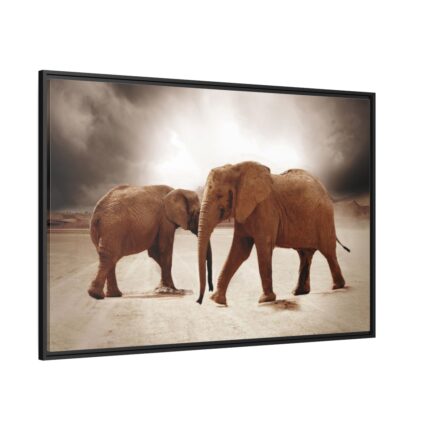 African Elephants Framed Canvas