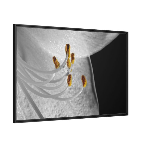 Bloom Lily Framed Canvas