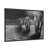 Elephants in Africa, Safari Framed Canvas
