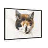 88289-310.jpg Head of a Calico Cat with Closed Eyes by Jean Bernard Framed Canvas