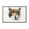 88289-311.jpg Head of a Calico Cat with Closed Eyes by Jean Bernard Framed Canvas
