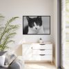 Bicolor Cat Framed Canvas