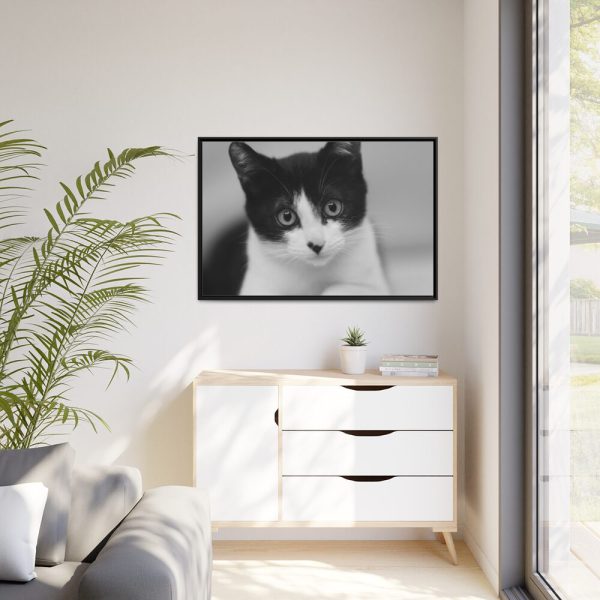 Bicolor Cat Framed Canvas