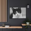 Bicolor Cat Framed Canvas