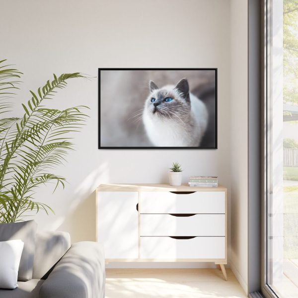 Closeup of a Blue Eyed Cat Framed Canvas
